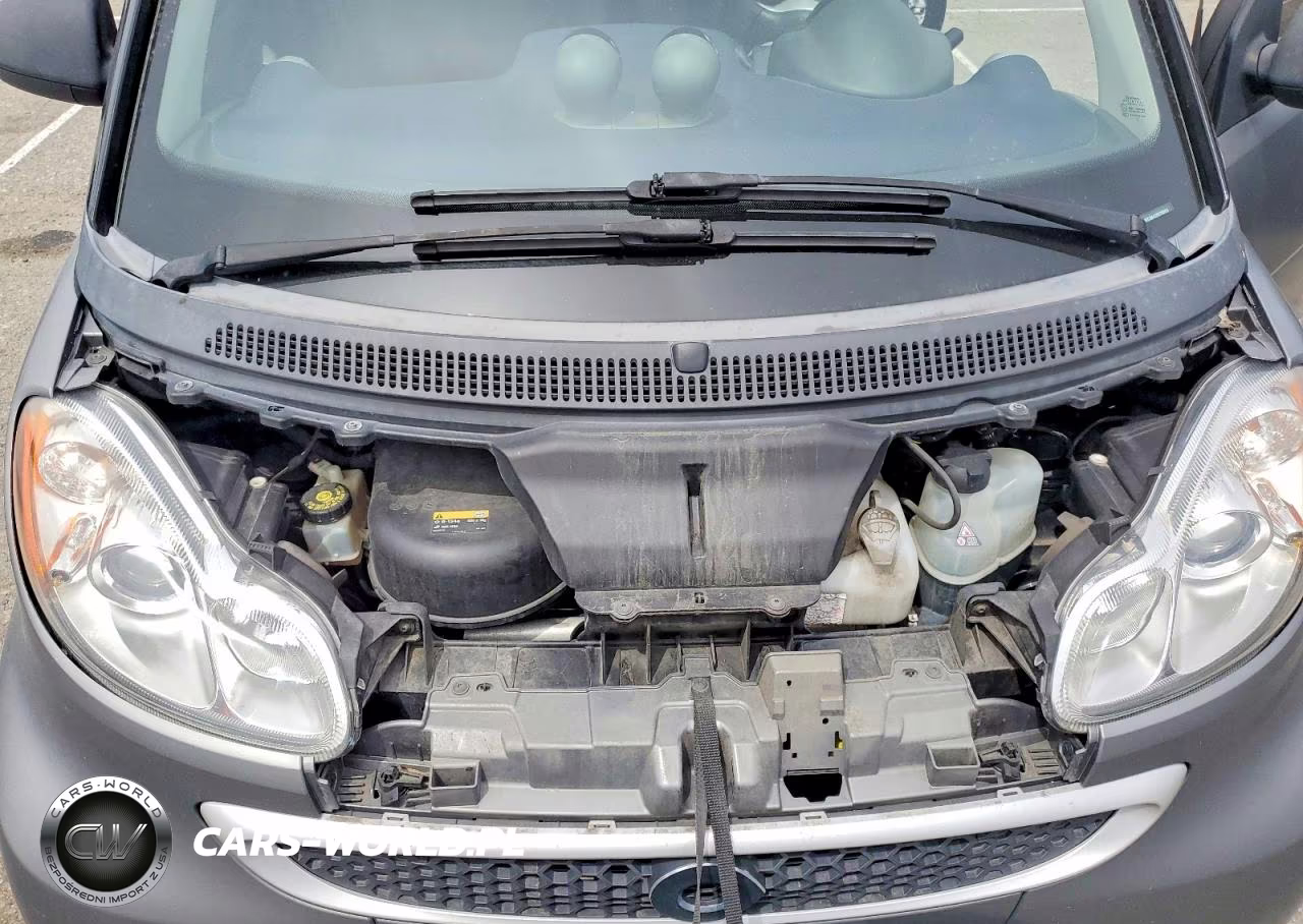 2014 Smart Fortwo VIN:WMEEJ9AA3EK729623 - 11