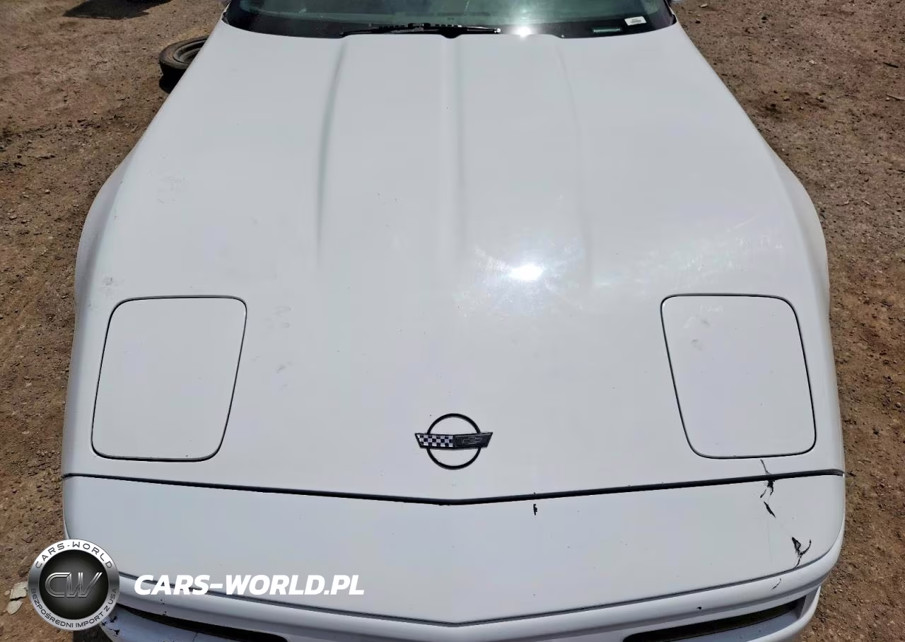 1996 Chevrolet Corvette VIN:1G1YY22P3T5101213 - 11