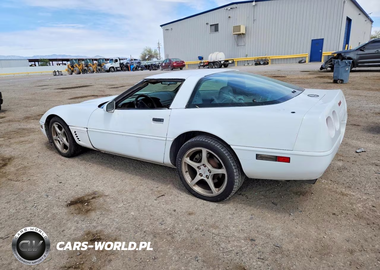 1996 Chevrolet Corvette VIN:1G1YY22P3T5101213 - 2
