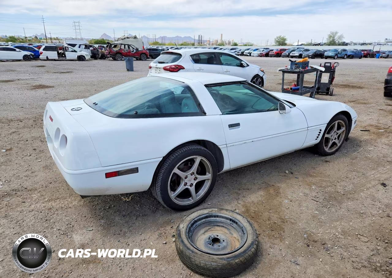 1996 Chevrolet Corvette VIN:1G1YY22P3T5101213 - 3