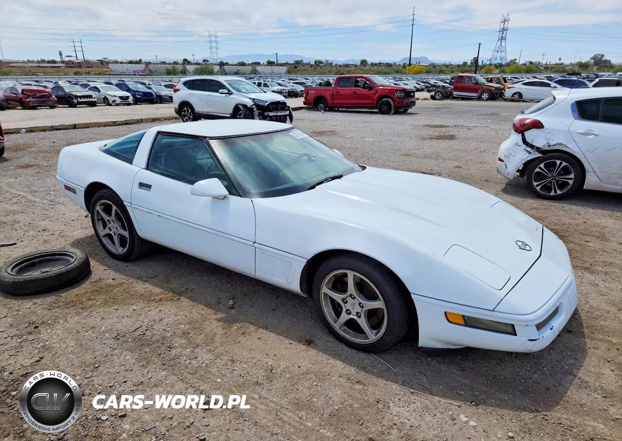 1996 Chevrolet Corvette VIN:1G1YY22P3T5101213 - 4