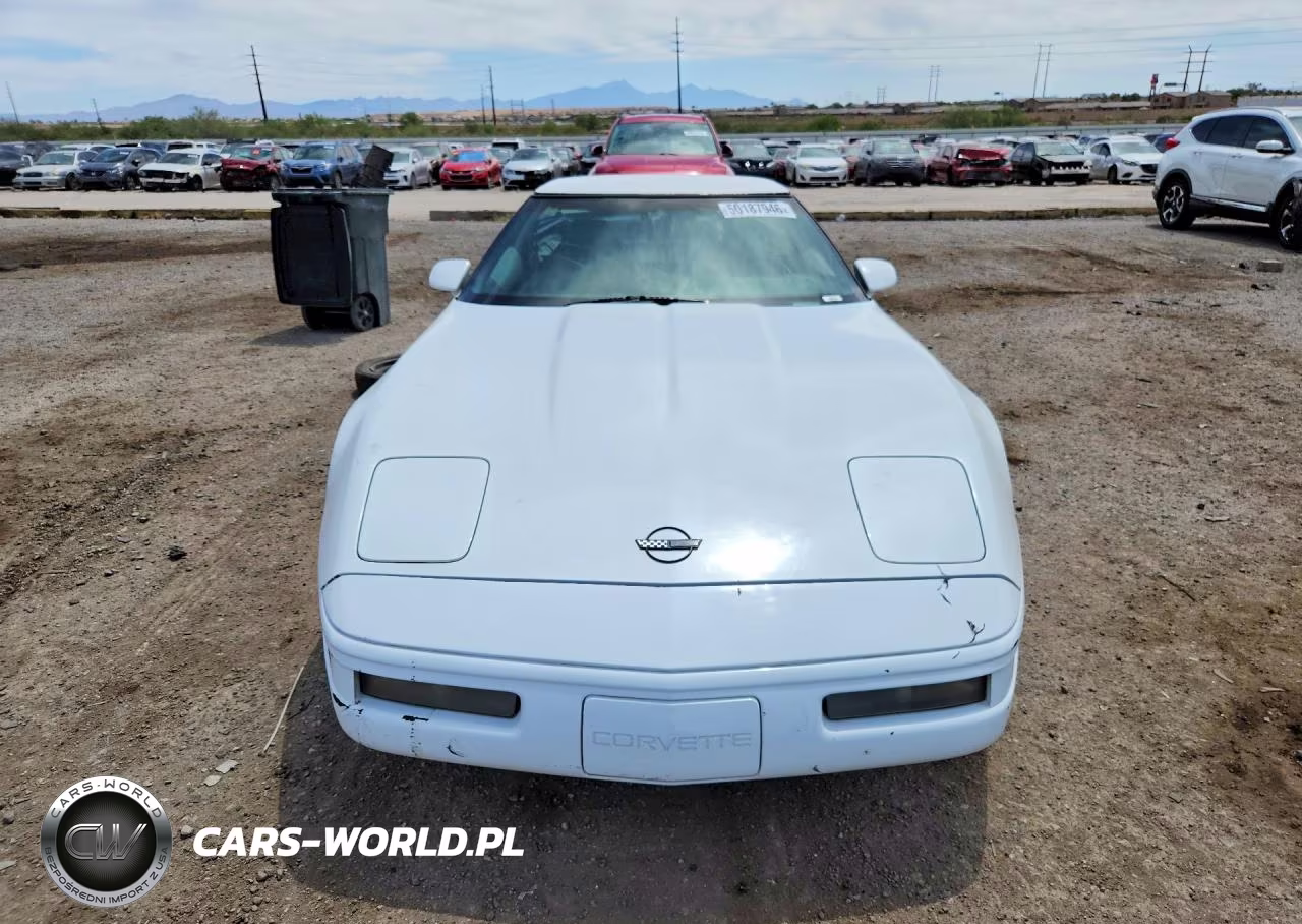 1996 Chevrolet Corvette VIN:1G1YY22P3T5101213 - 5