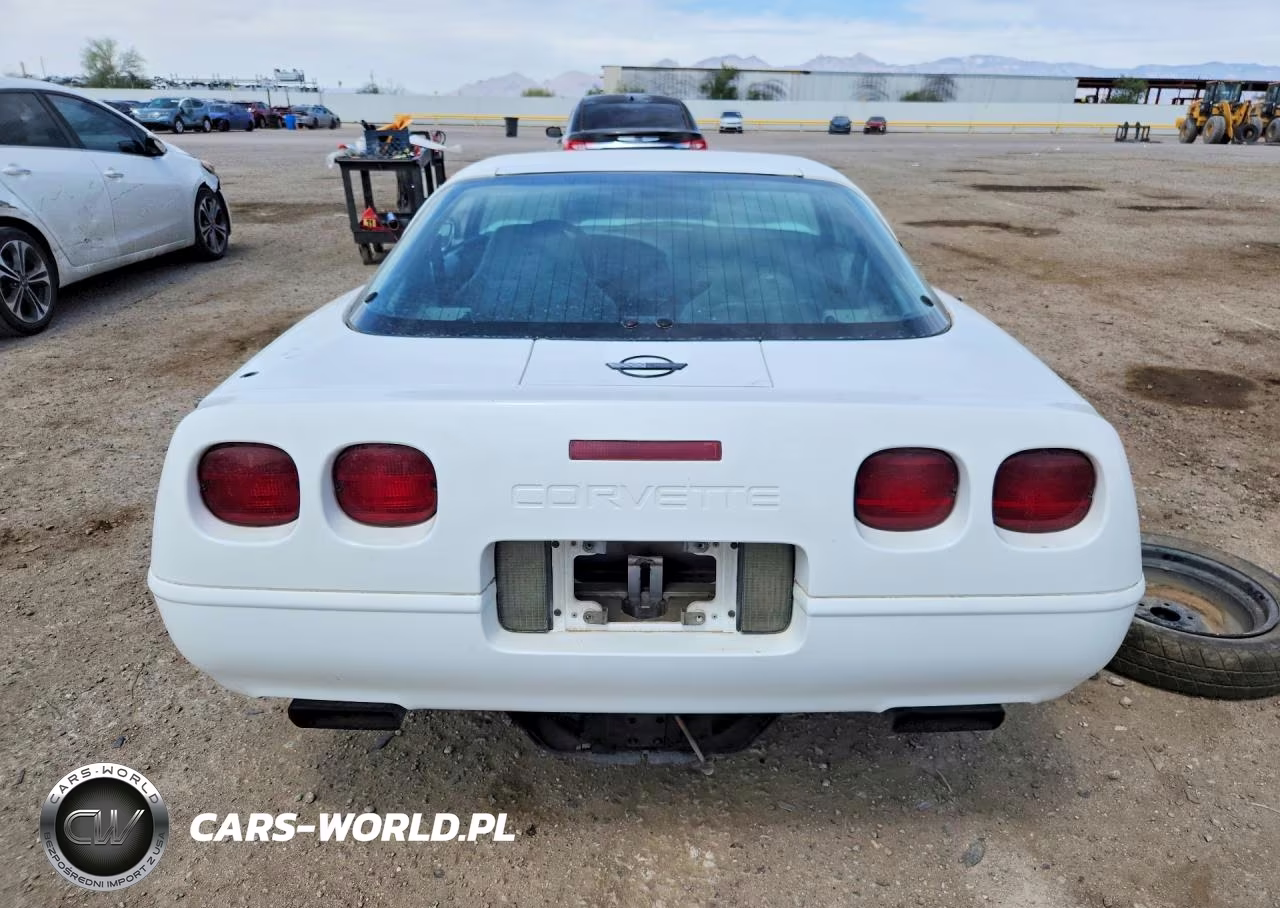 1996 Chevrolet Corvette VIN:1G1YY22P3T5101213 - 6