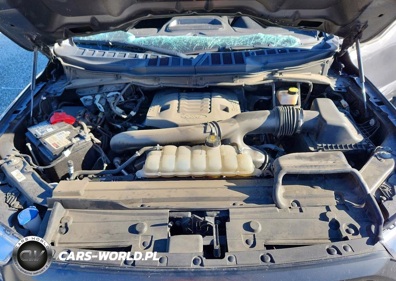 2022 Ford F150 Supercrew VIN:1FTFW1E87NFA16178 - 11