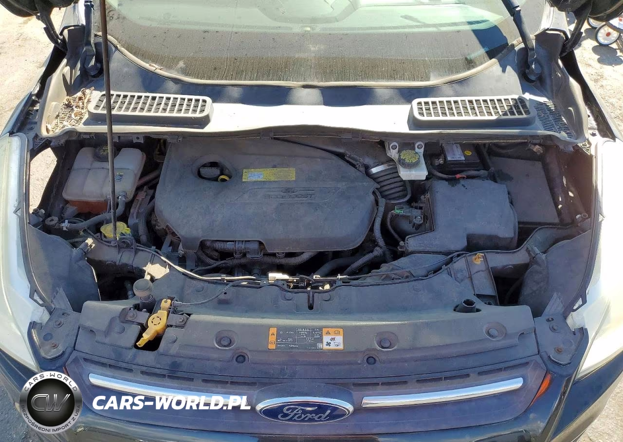 2013 Ford Escape Se VIN:1FMCU0GX2DUD86533 - 12