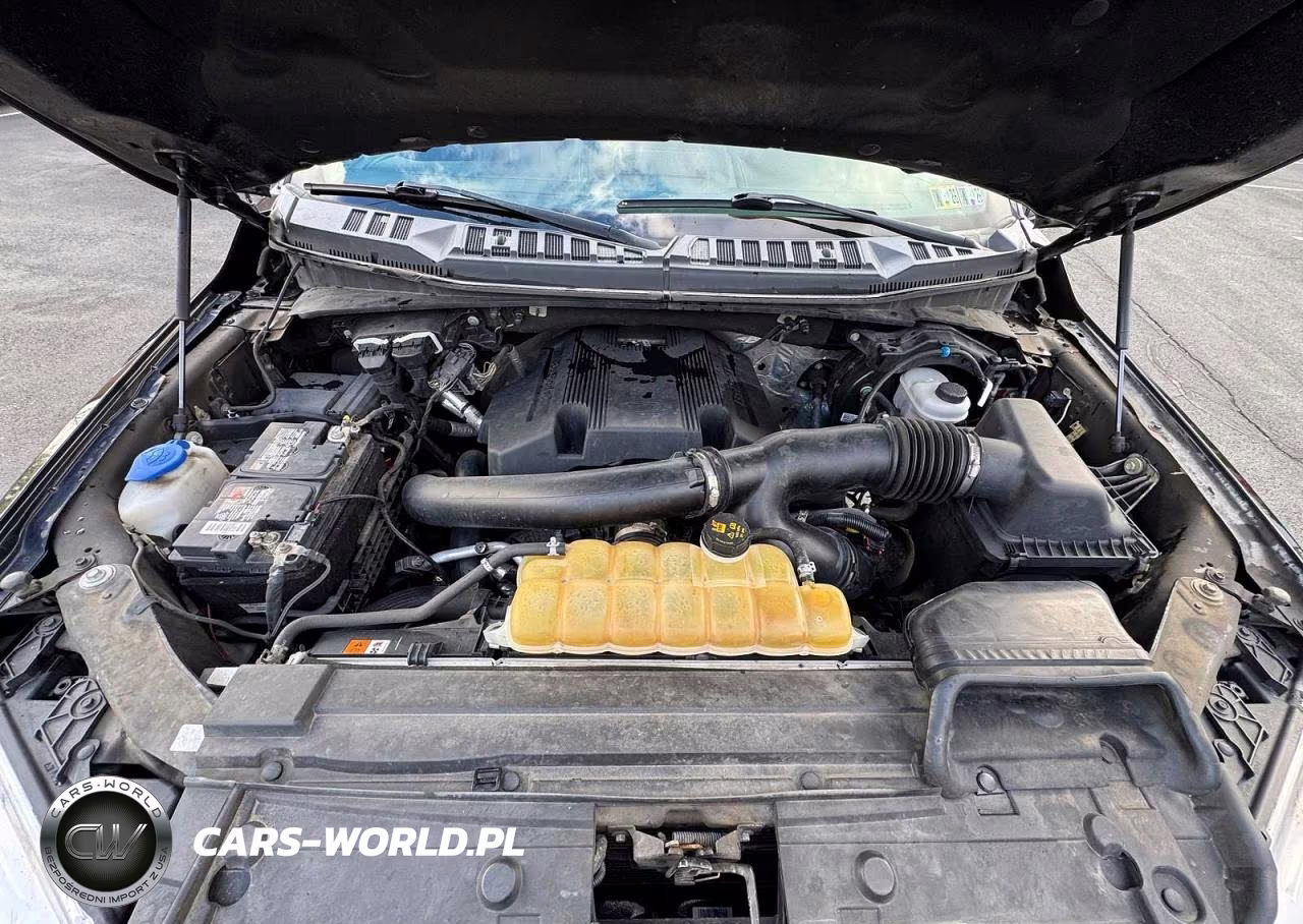 2019 Ford F150 Supercrew VIN:1FTEW1E49KKE99734 - 7