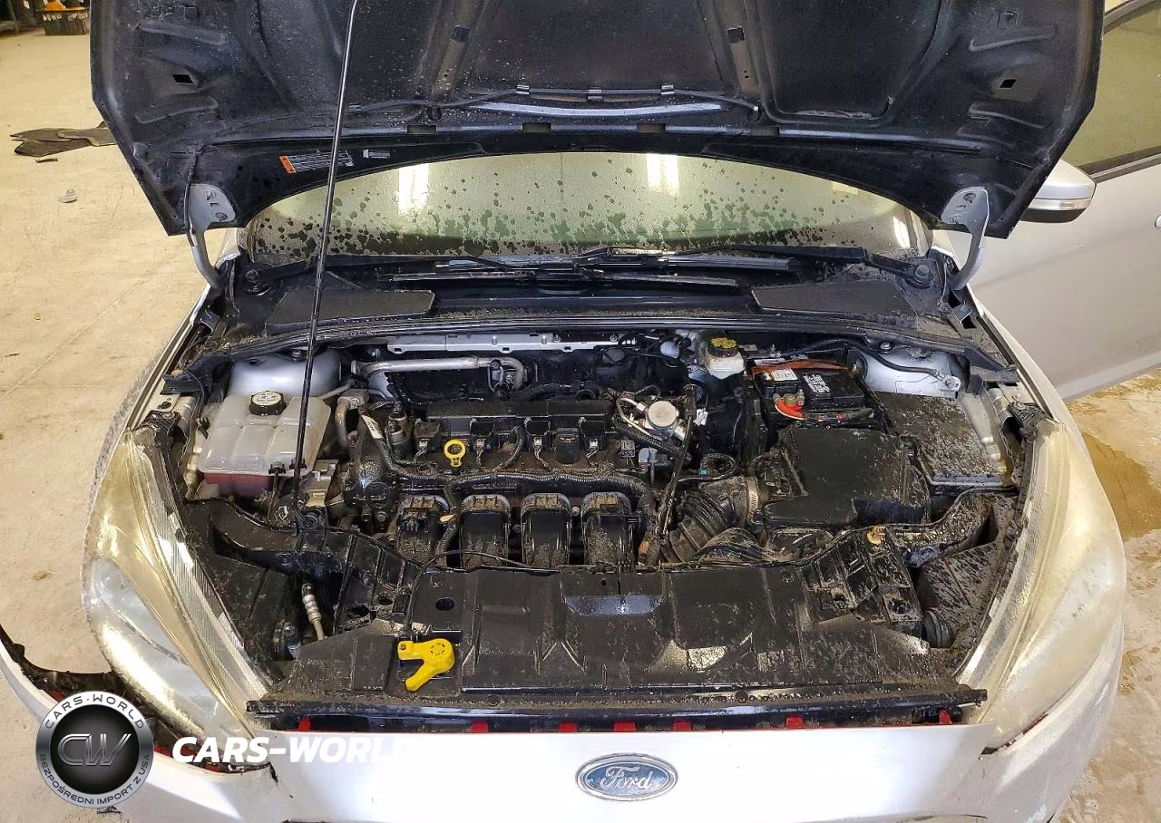 2018 Ford Focus Sel VIN:1FADP3H25JL222849 - 11