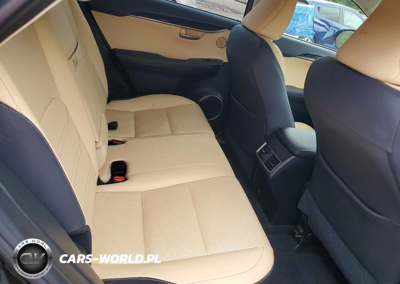 2016 Lexus Nx 200T Base VIN:JTJYARBZ0G2031289 - 10