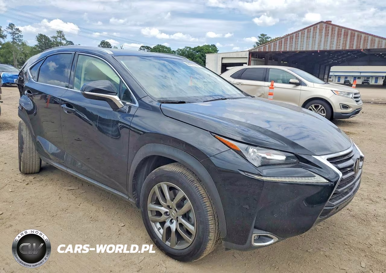 2016 Lexus Nx 200T Base VIN:JTJYARBZ0G2031289 - 4