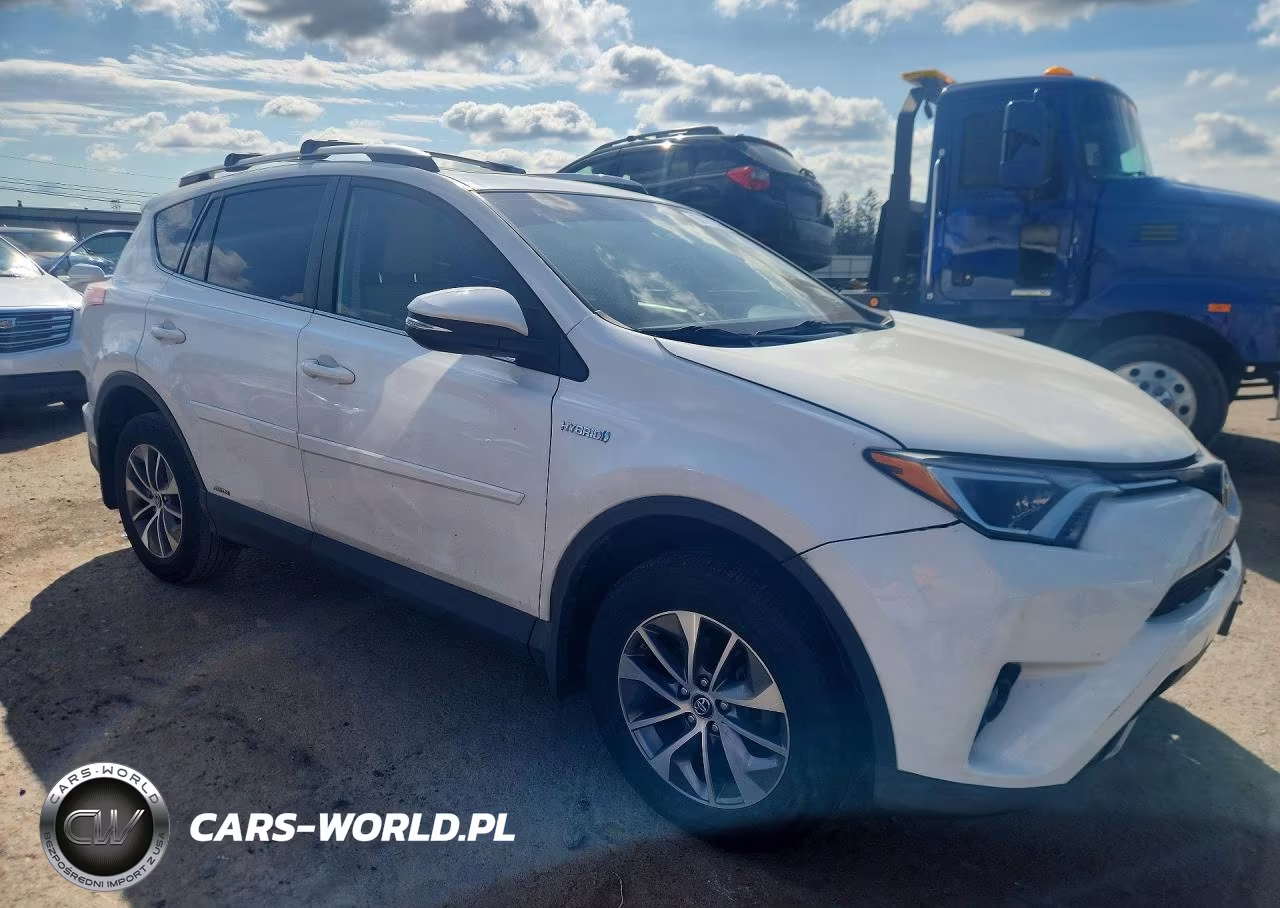 2016 Toyota Rav4 Hv Xle VIN:JTMRJREVXGD016464 - 4