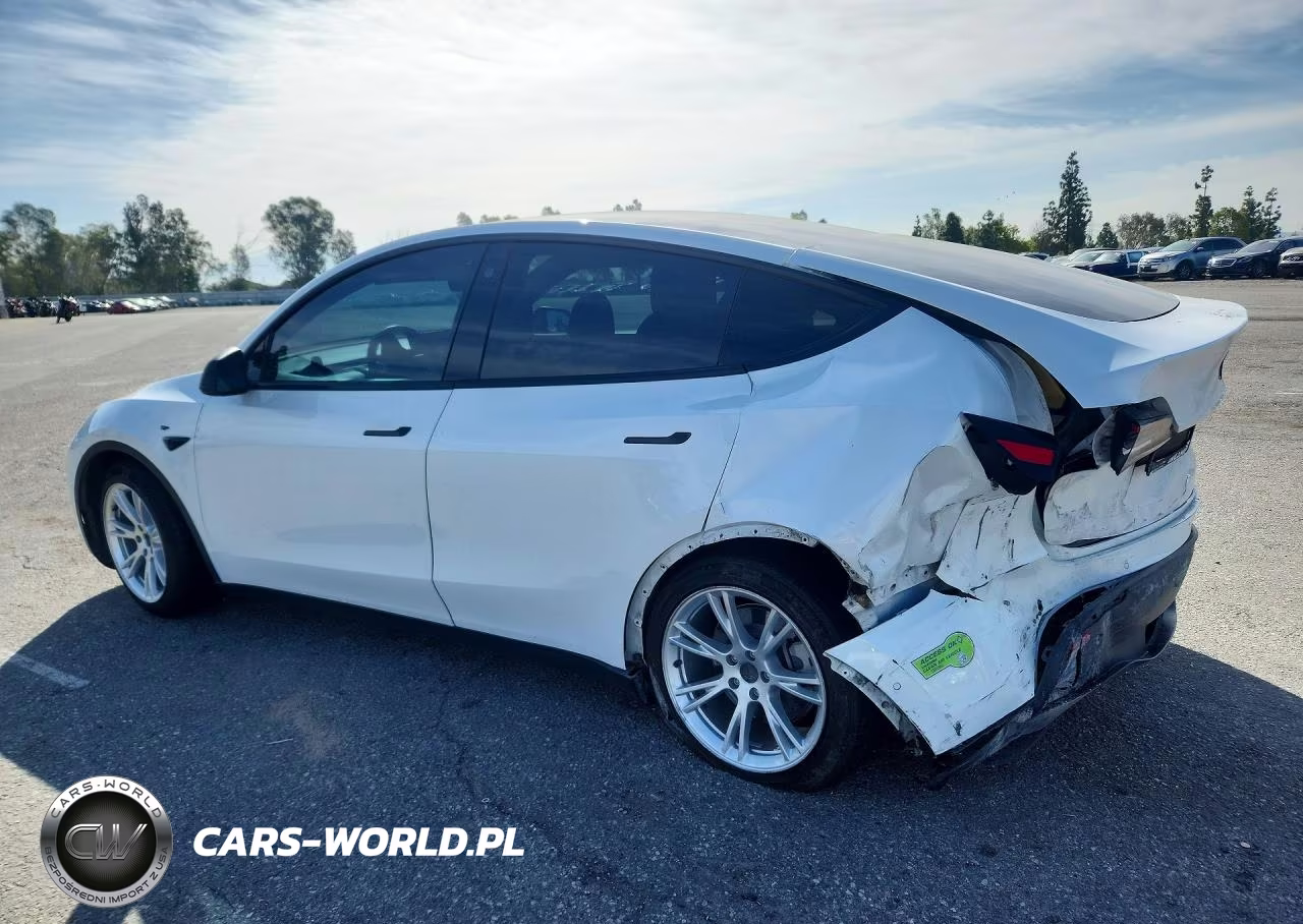 2022 Tesla Model Y VIN:7SAYGDEE2NF323309 - 2
