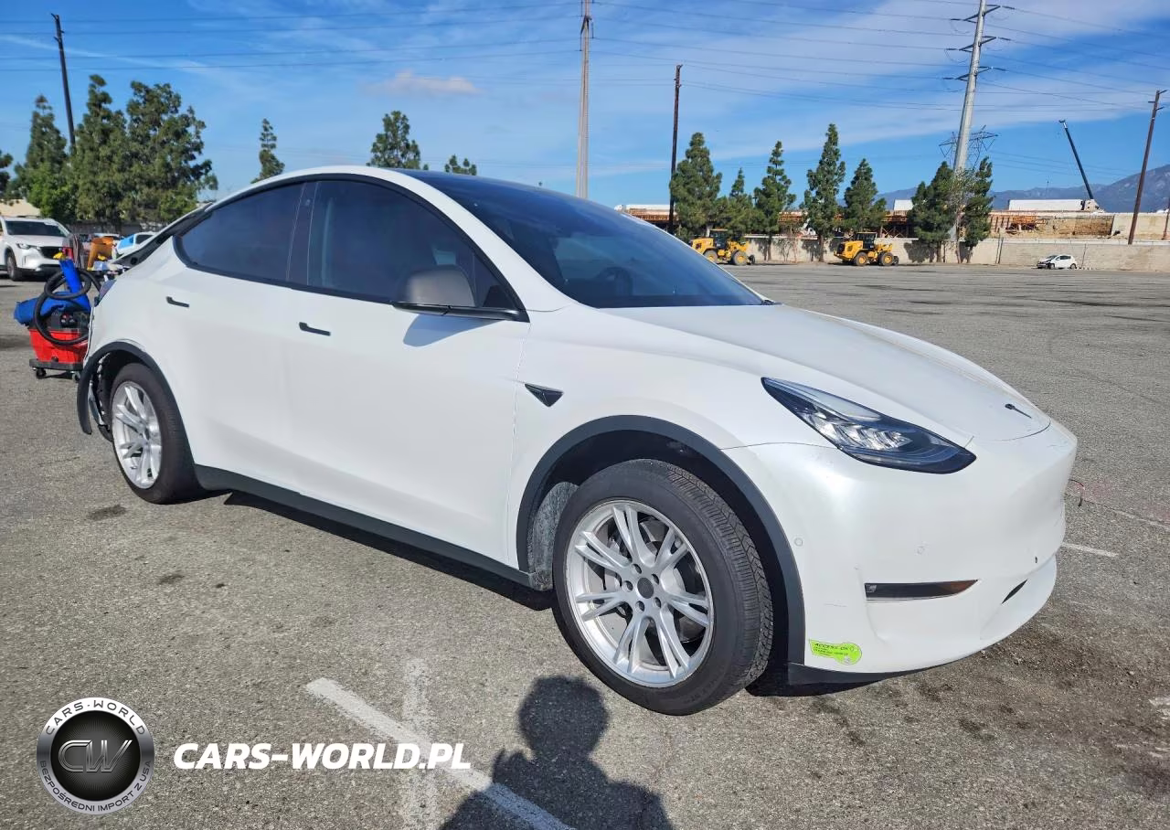 2022 Tesla Model Y VIN:7SAYGDEE2NF323309 - 4