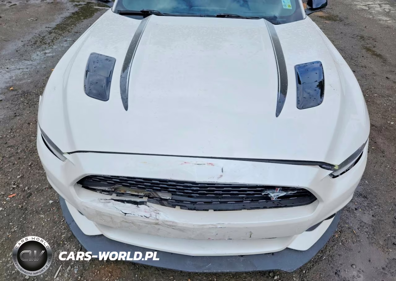 2017 Ford Mustang Gt VIN:1FATP8FF4H5330263 - 11