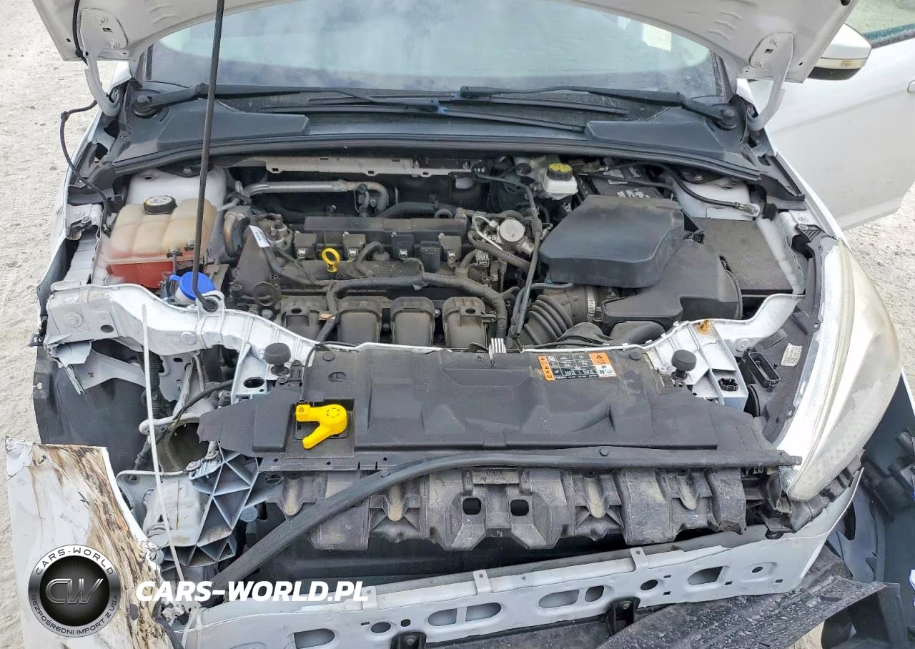 2017 Ford Focus Se VIN:1FADP3K29HL331334 - 11