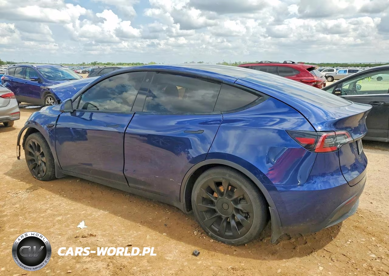 2021 Tesla Model Y VIN:5YJYGAEE1MF191816 - 2