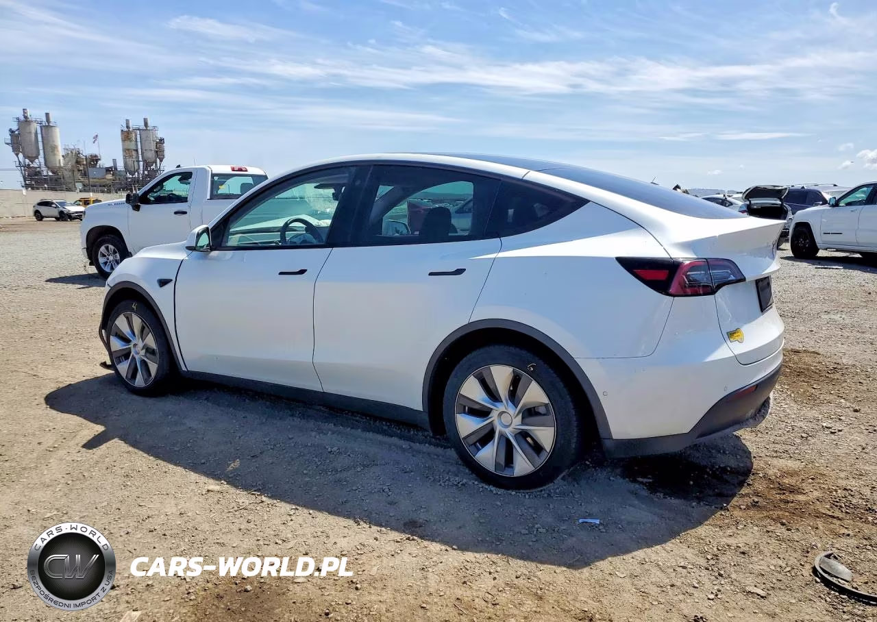 2022 Tesla Model Y VIN:7SAYGDEE1NF363462 - 2