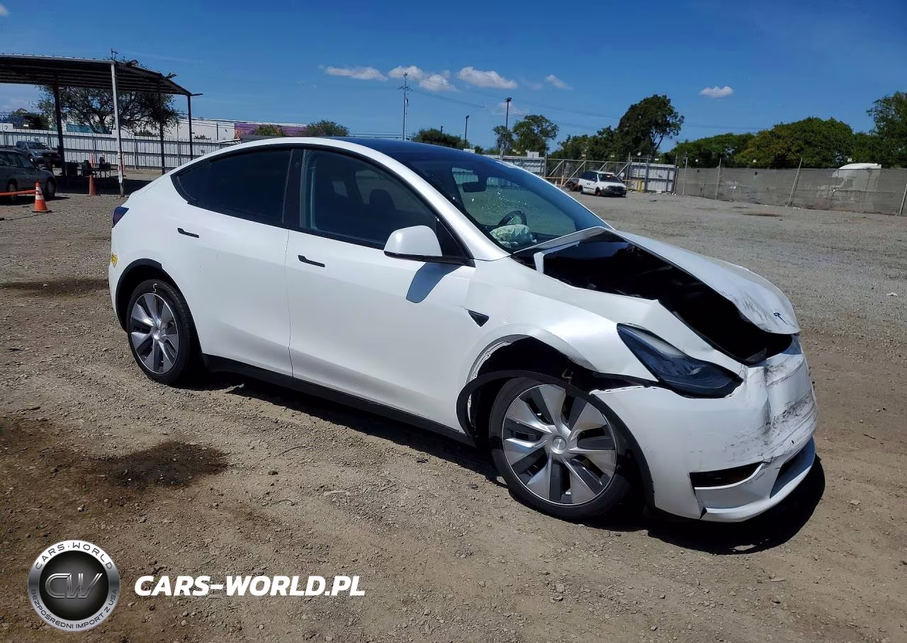 2022 Tesla Model Y VIN:7SAYGDEE1NF363462 - 4