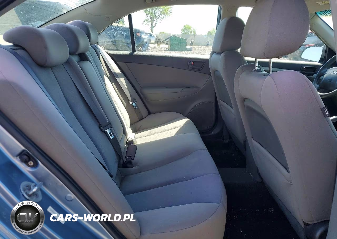 2010 Hyundai Sonata Gls VIN:5NPET4AC2AH658436 - 10