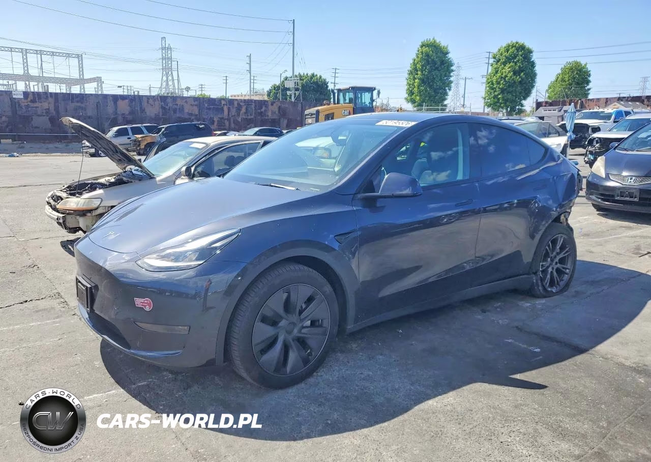 2025 Tesla Model Y
