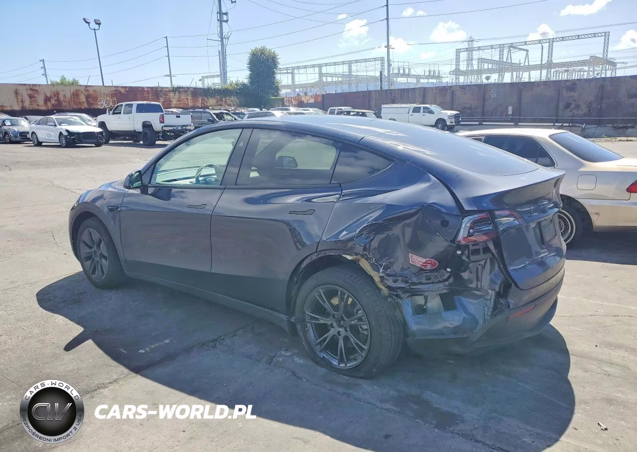 2025 Tesla Model Y VIN:7SAYGDED8SF250532 - 2