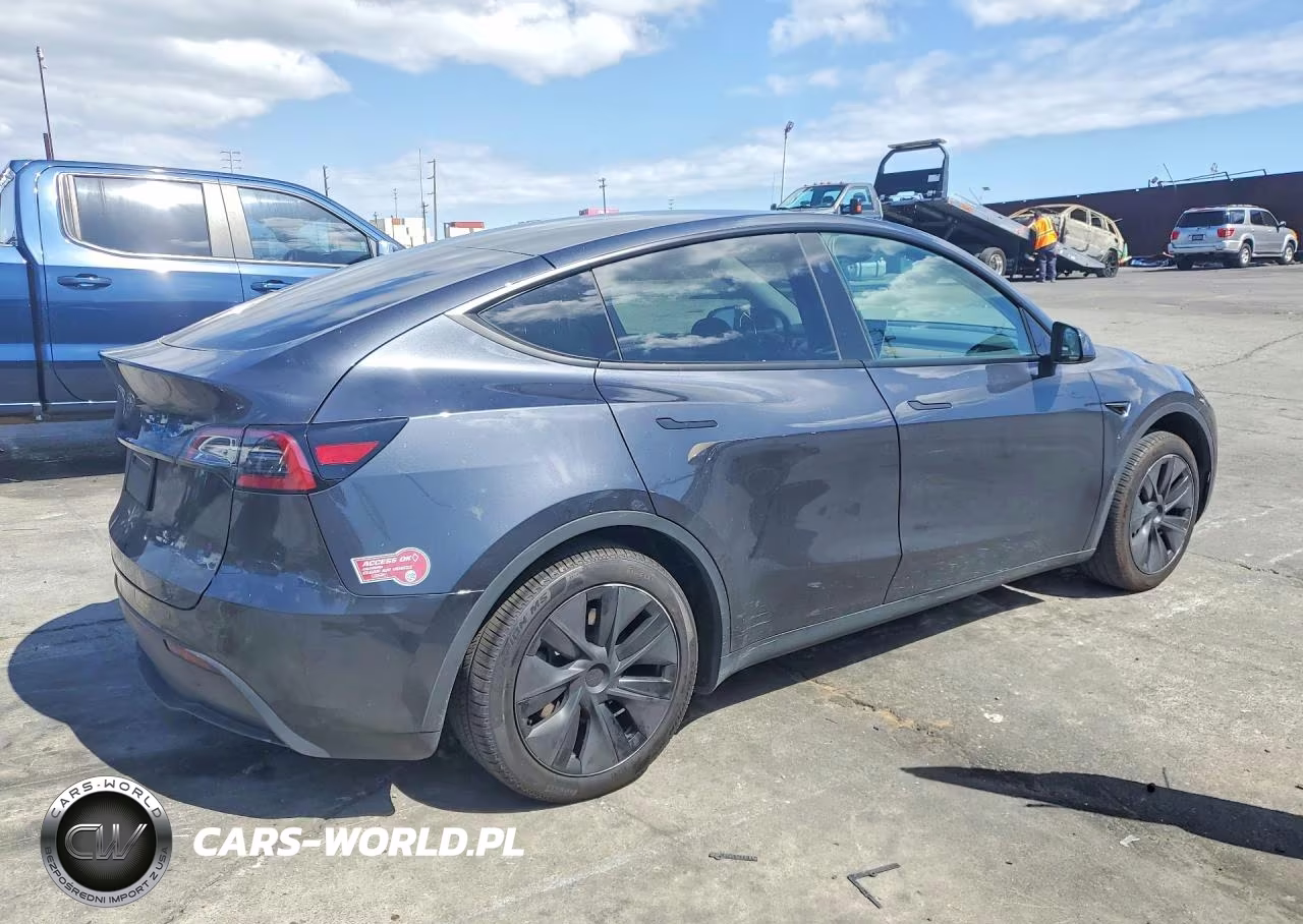 2025 Tesla Model Y VIN:7SAYGDED8SF250532 - 3