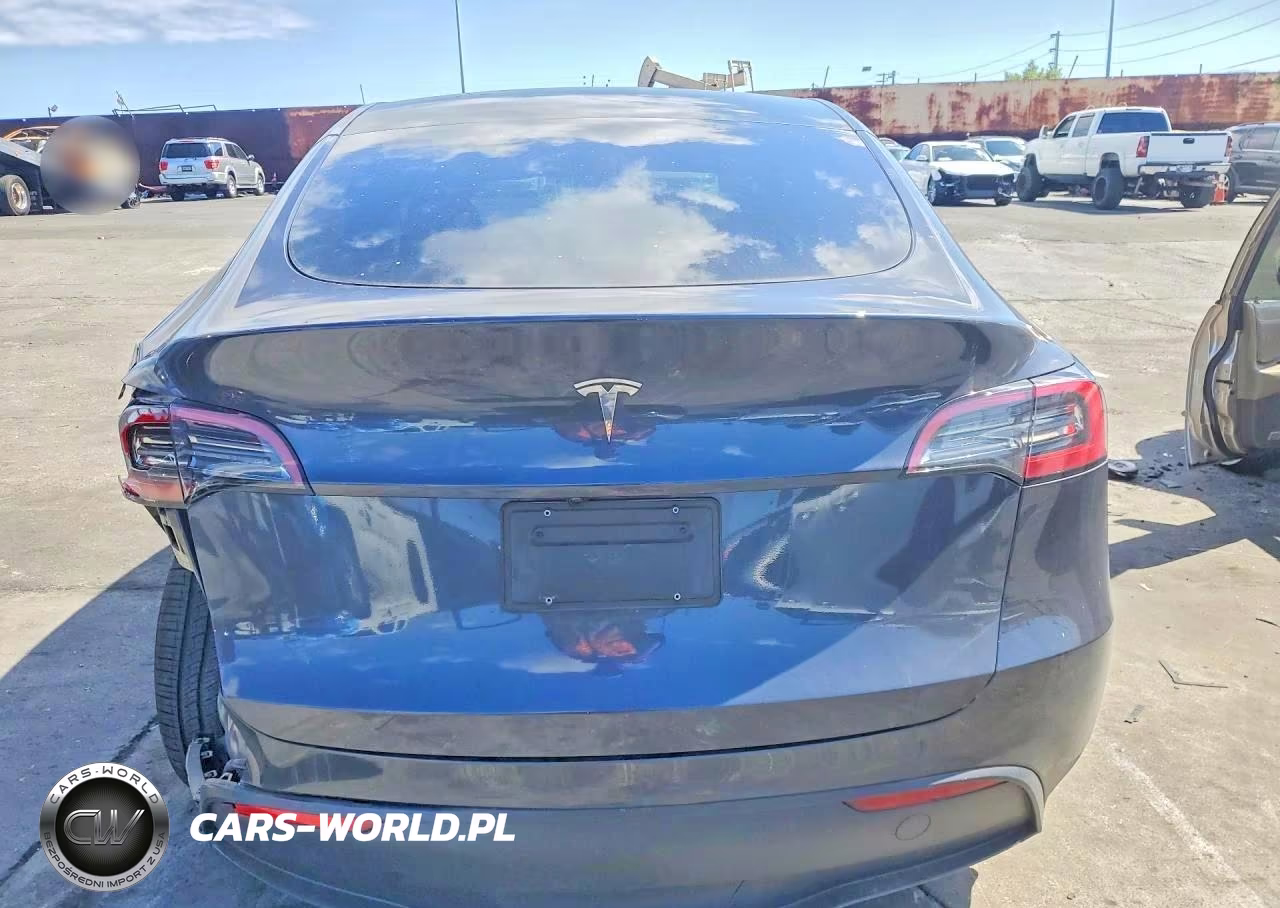 2025 Tesla Model Y VIN:7SAYGDED8SF250532 - 6