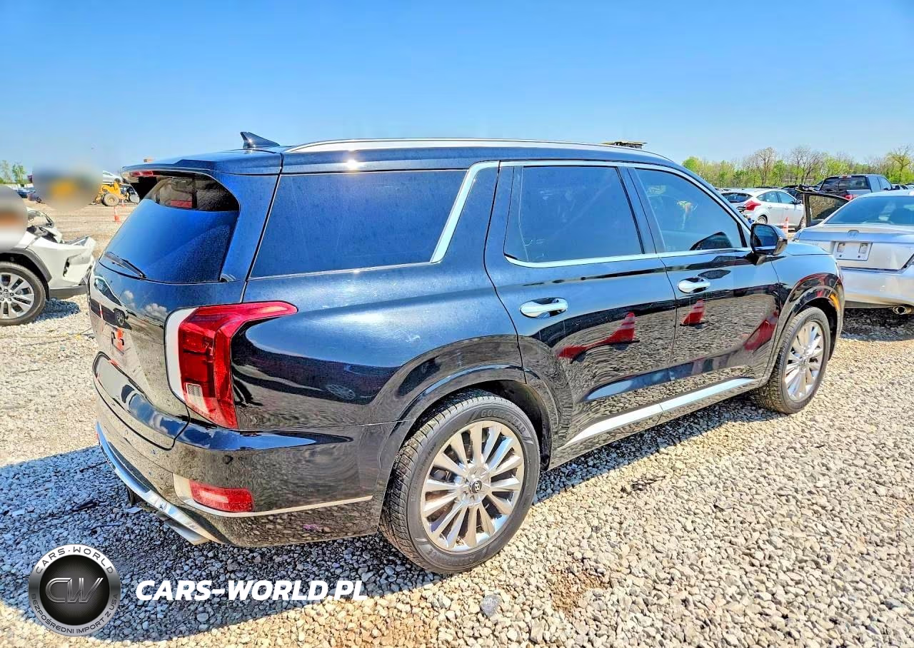 2020 Hyundai Palisade Limited VIN:KM8R5DHE2LU033221 - 3