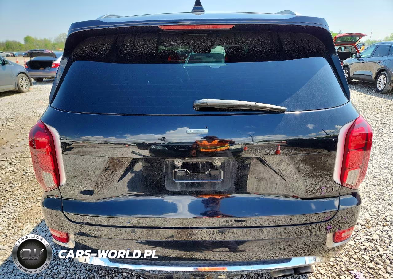 2020 Hyundai Palisade Limited VIN:KM8R5DHE2LU033221 - 6
