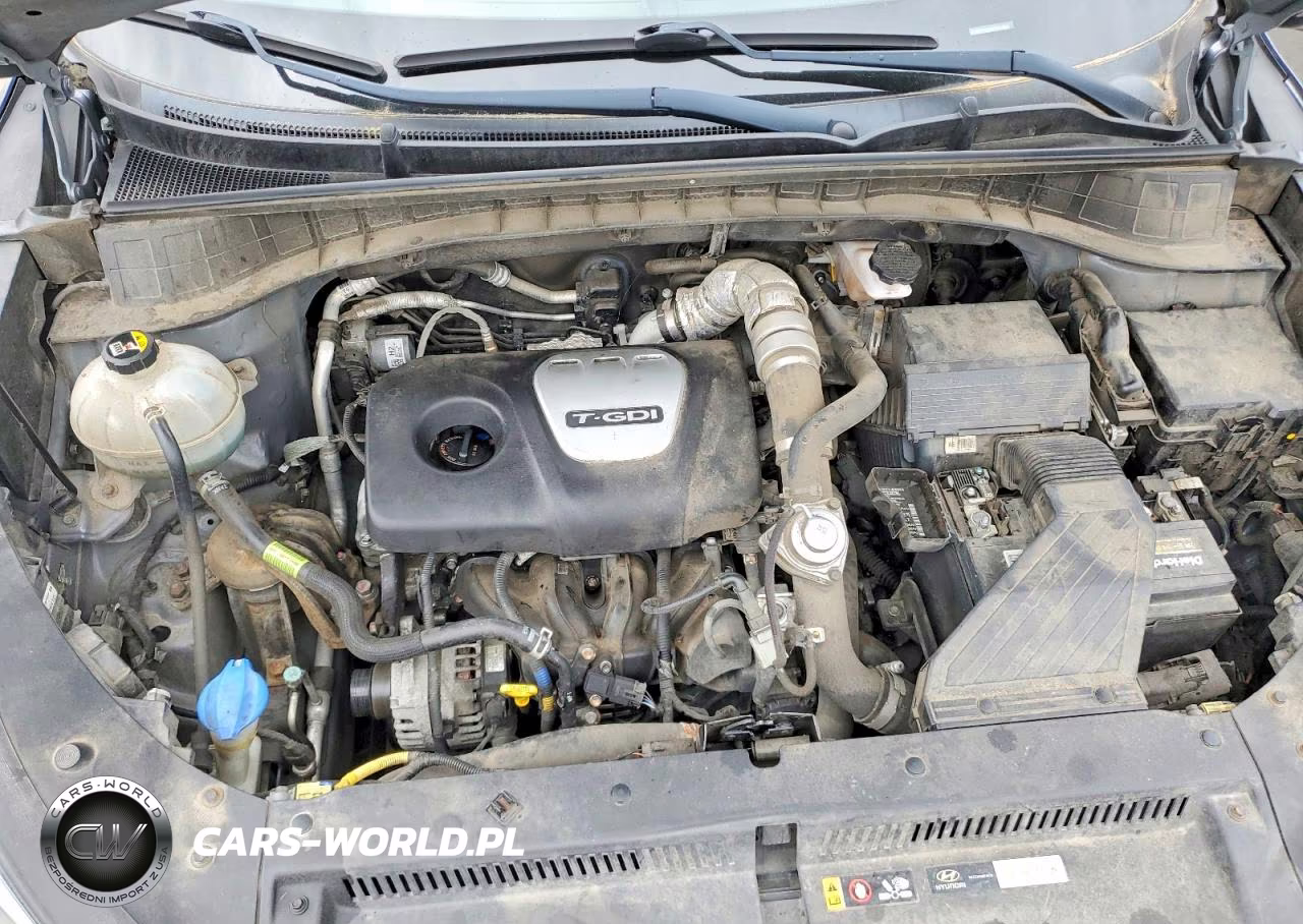 2018 Hyundai Tucson Value VIN:KM8J33A29JU804543 - 12