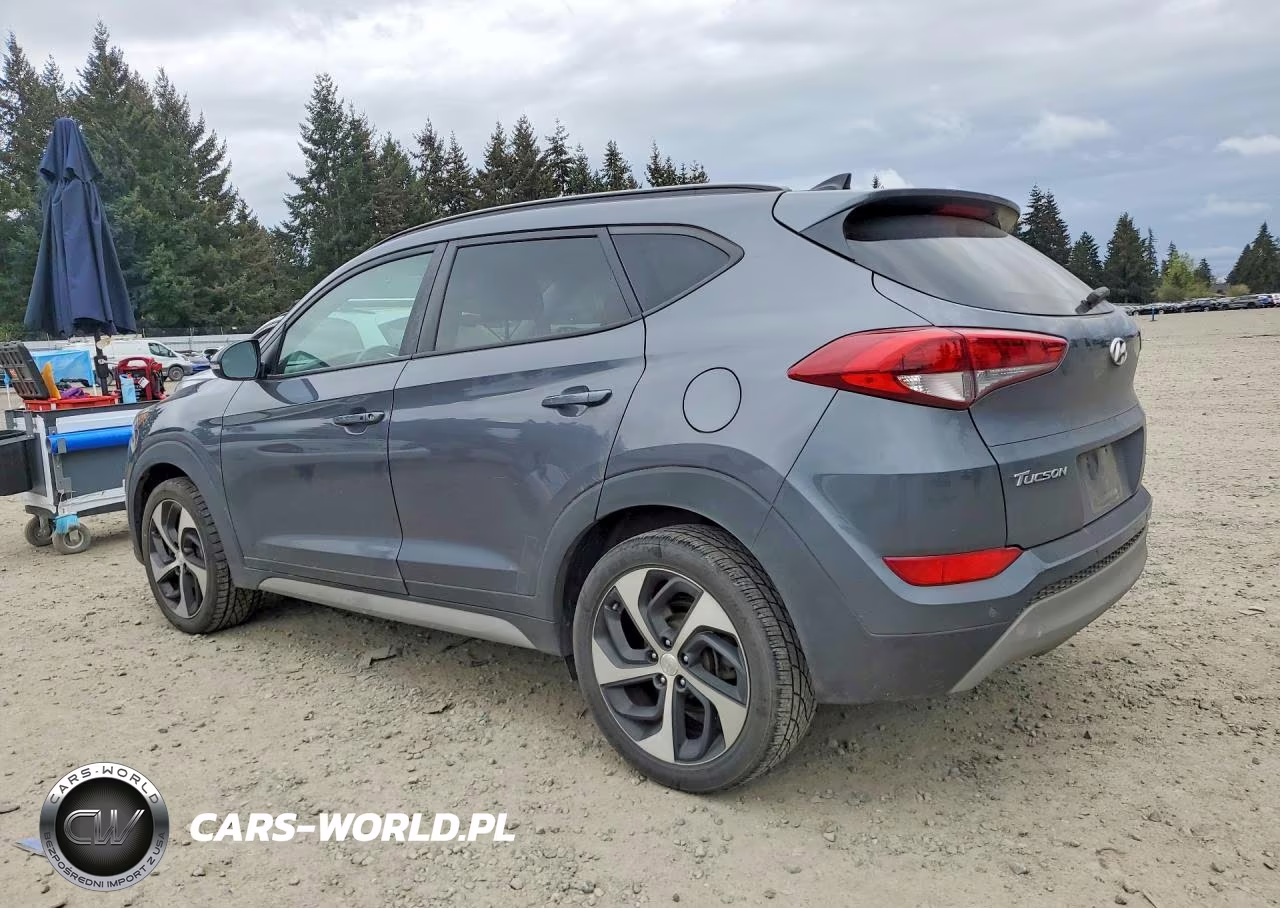 2018 Hyundai Tucson Value VIN:KM8J33A29JU804543 - 2