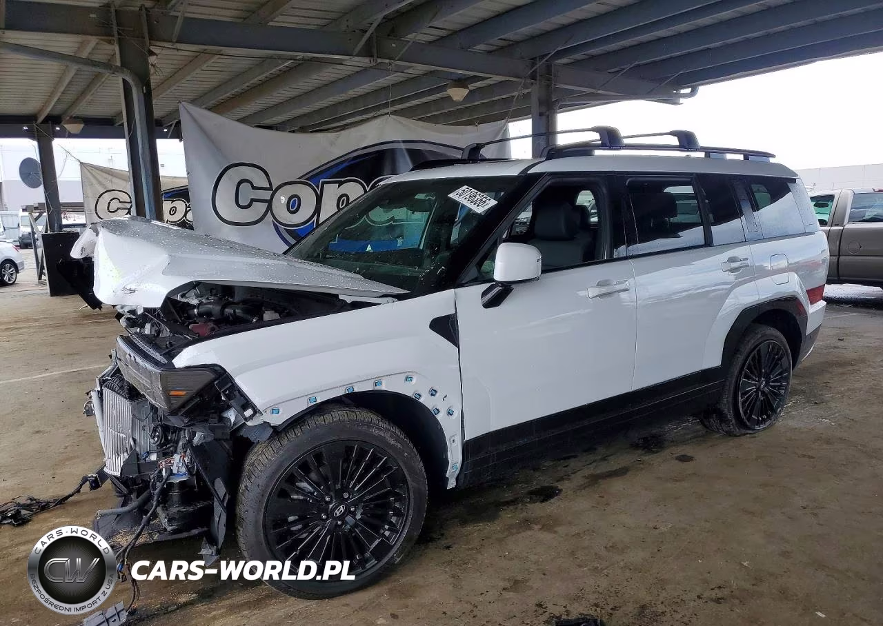 2025 Hyundai Santa Fe Calligraphy VIN:5NMP5DG12SH066896 - 1