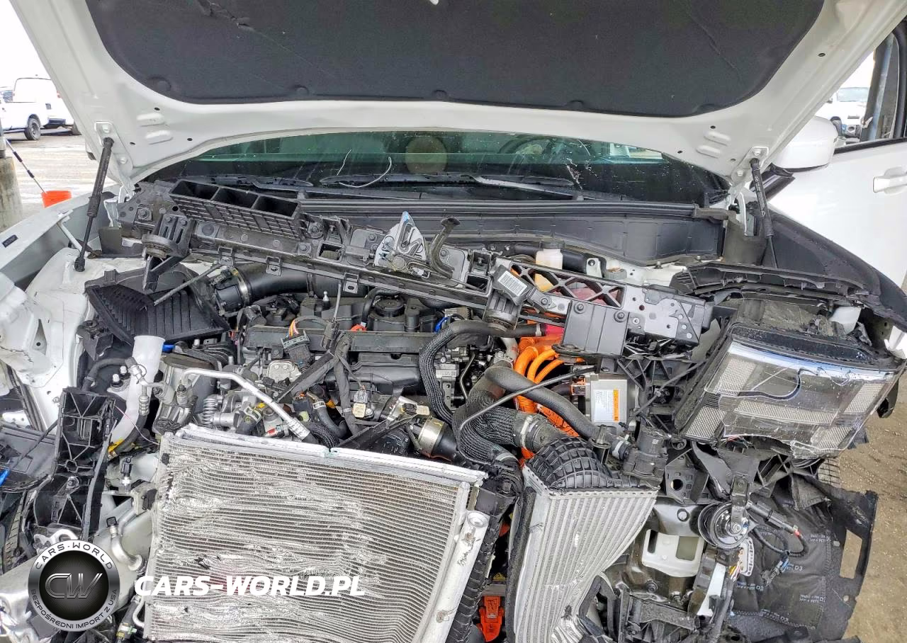 2025 Hyundai Santa Fe Calligraphy VIN:5NMP5DG12SH066896 - 12