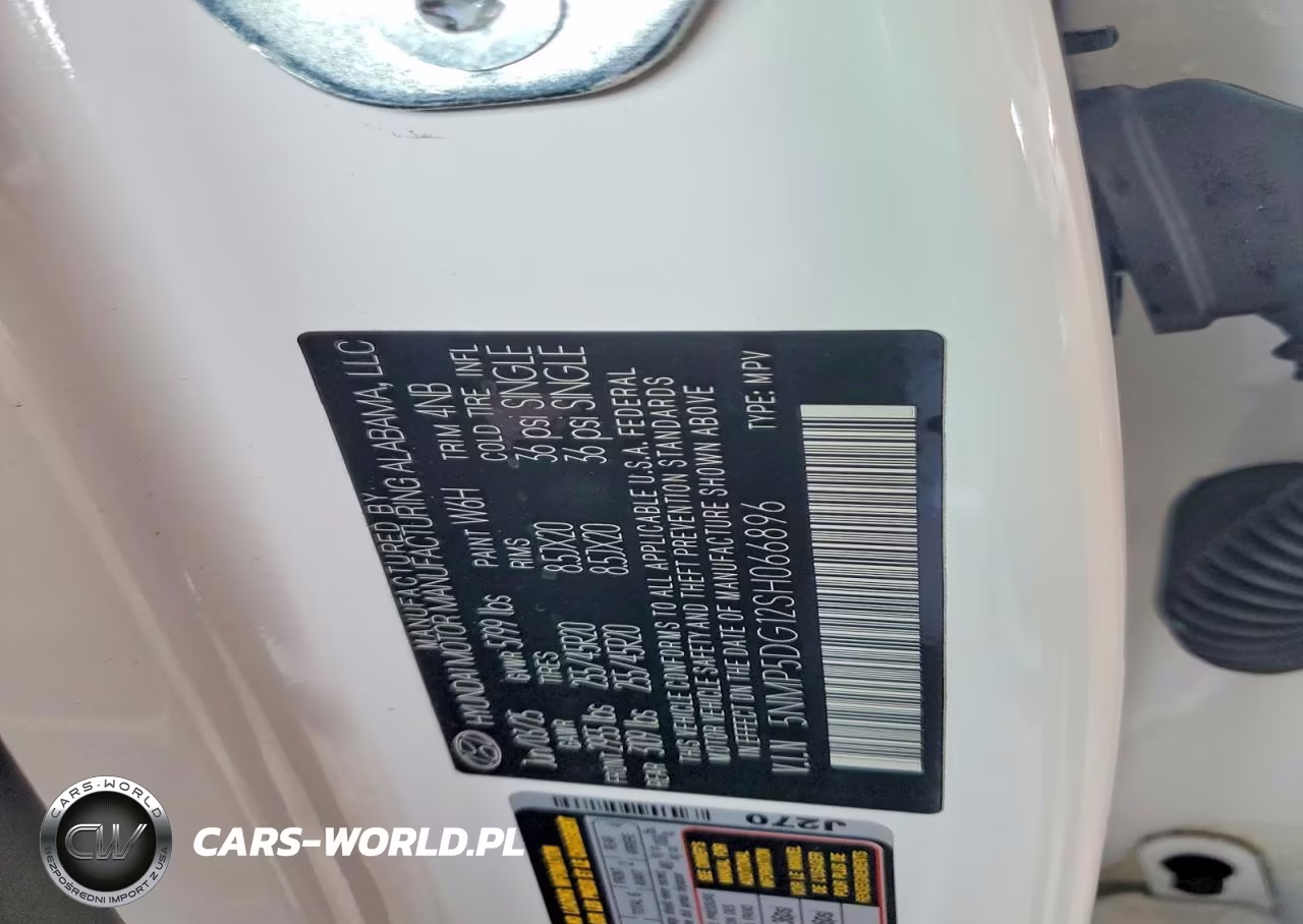2025 Hyundai Santa Fe Calligraphy VIN:5NMP5DG12SH066896 - 13
