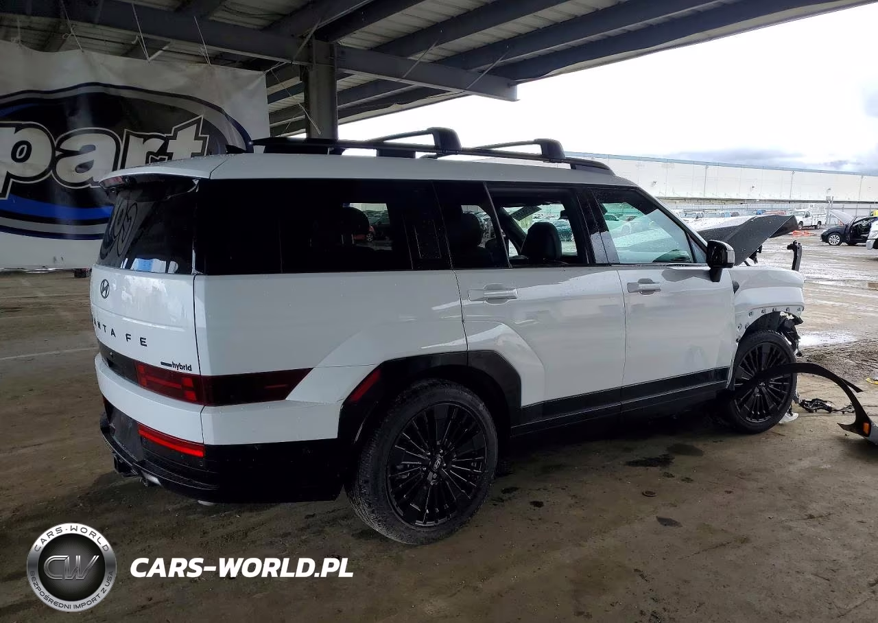 2025 Hyundai Santa Fe Calligraphy VIN:5NMP5DG12SH066896 - 3