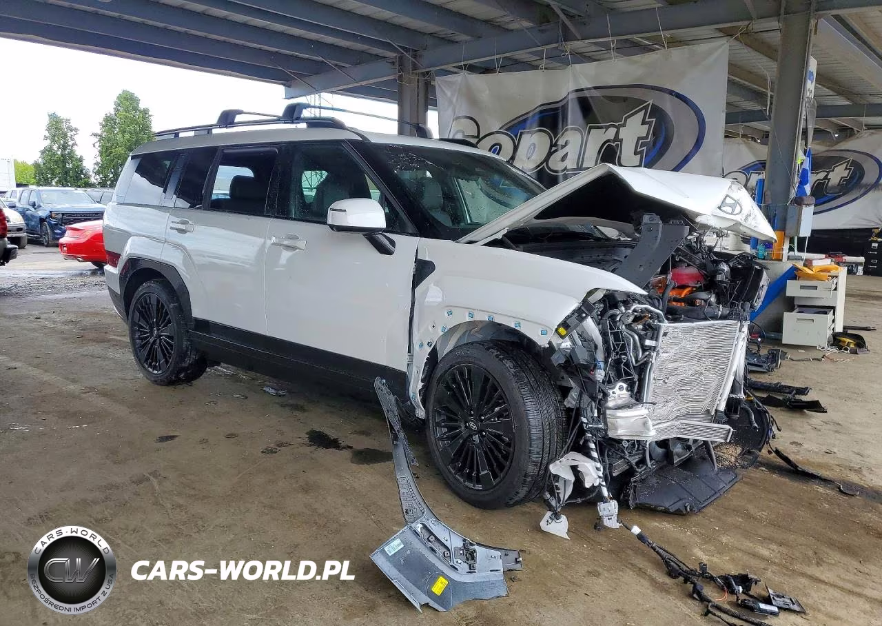 2025 Hyundai Santa Fe Calligraphy VIN:5NMP5DG12SH066896 - 4