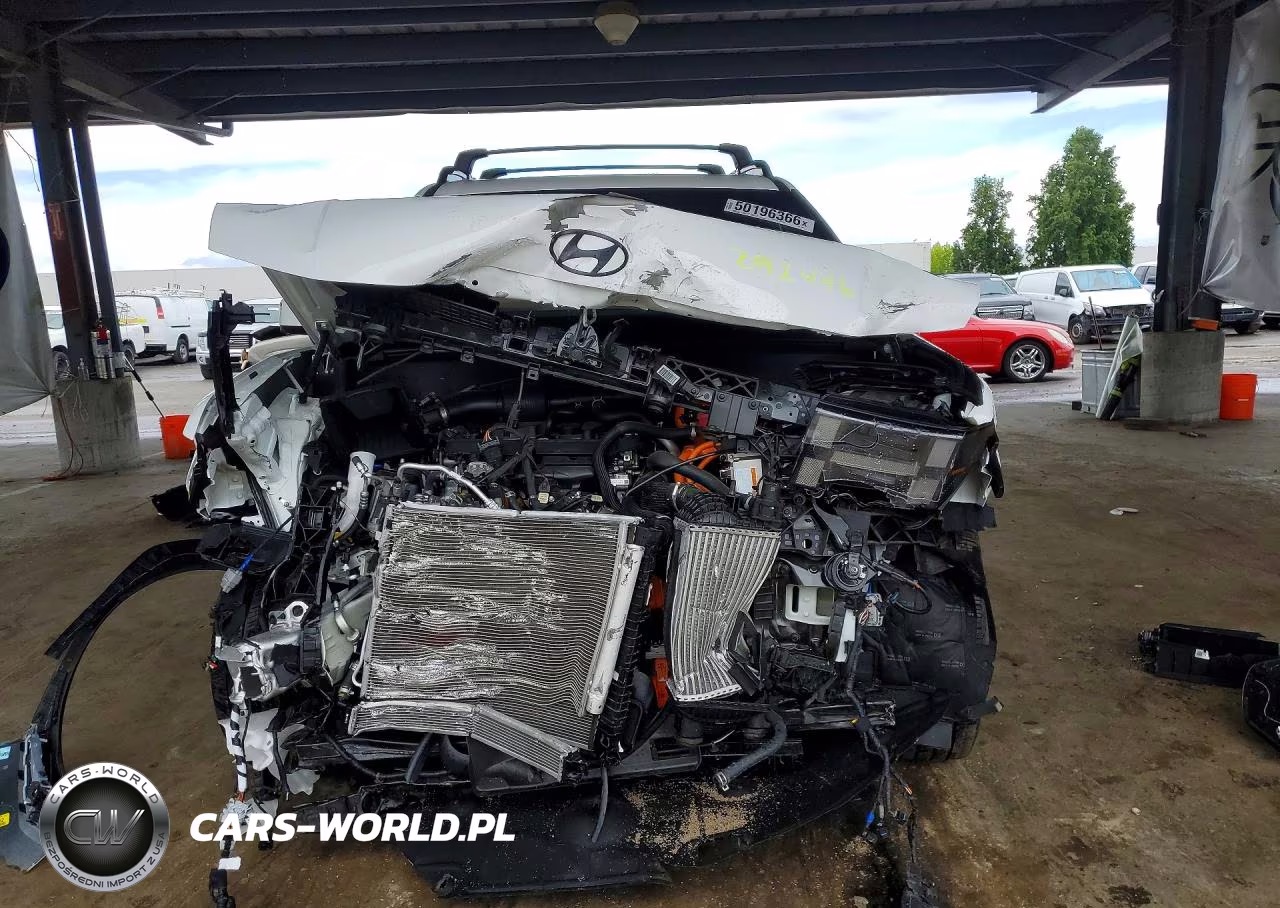 2025 Hyundai Santa Fe Calligraphy VIN:5NMP5DG12SH066896 - 5