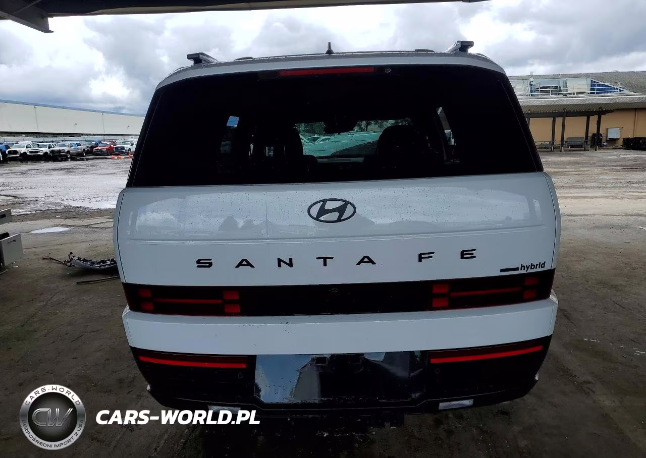 2025 Hyundai Santa Fe Calligraphy VIN:5NMP5DG12SH066896 - 6