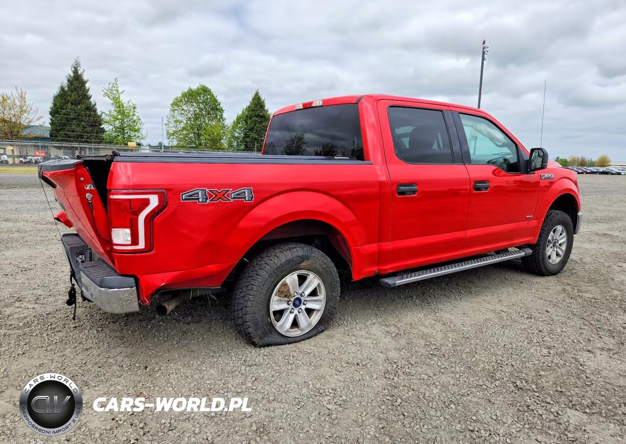 2017 Ford F150 Supercrew VIN:1FTEW1EG1HKD00520 - 3