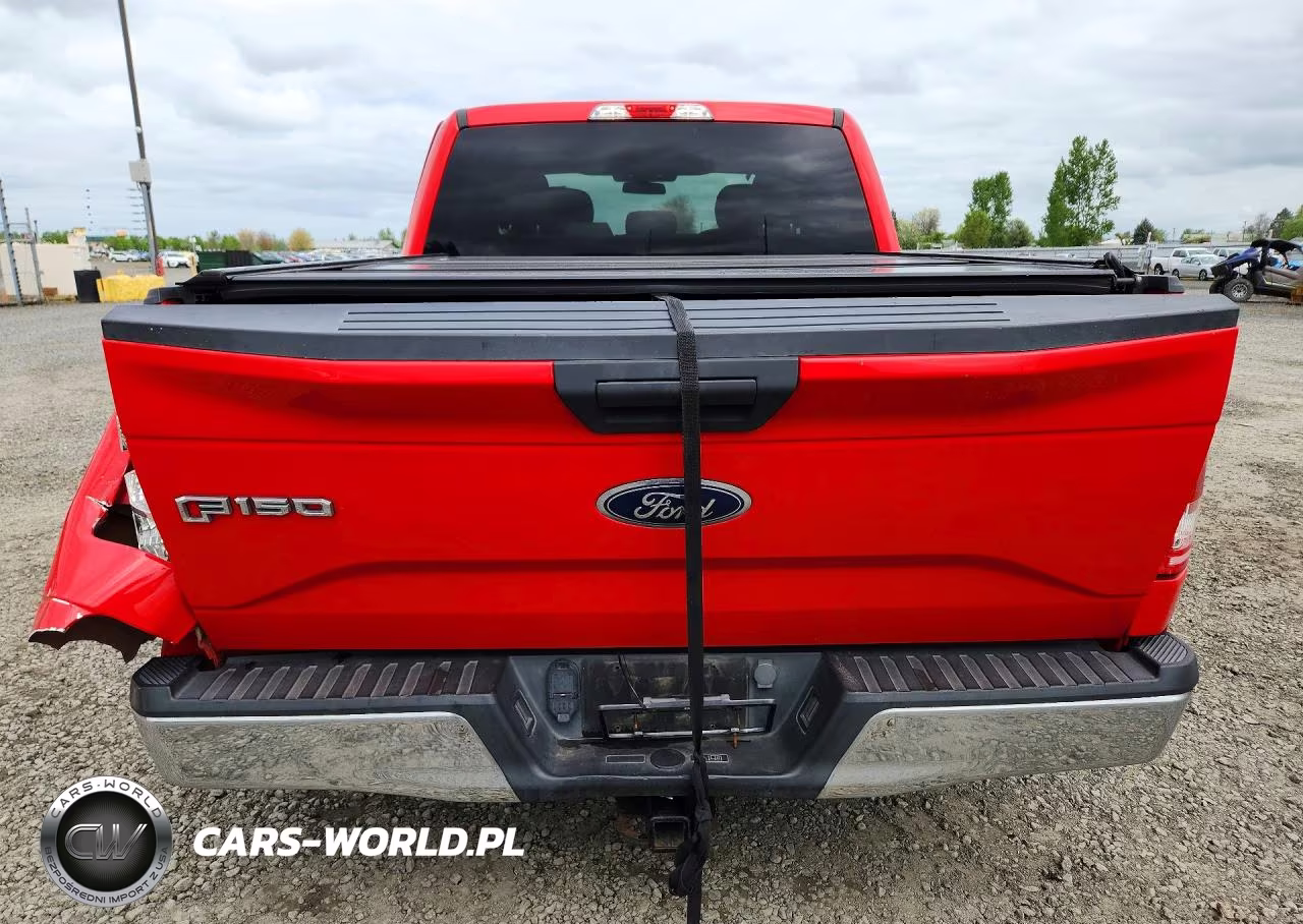 2017 Ford F150 Supercrew VIN:1FTEW1EG1HKD00520 - 6