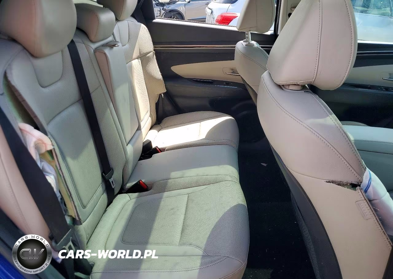 2024 Hyundai Tucson Limited VIN:5NMJECDE3RH352676 - 11