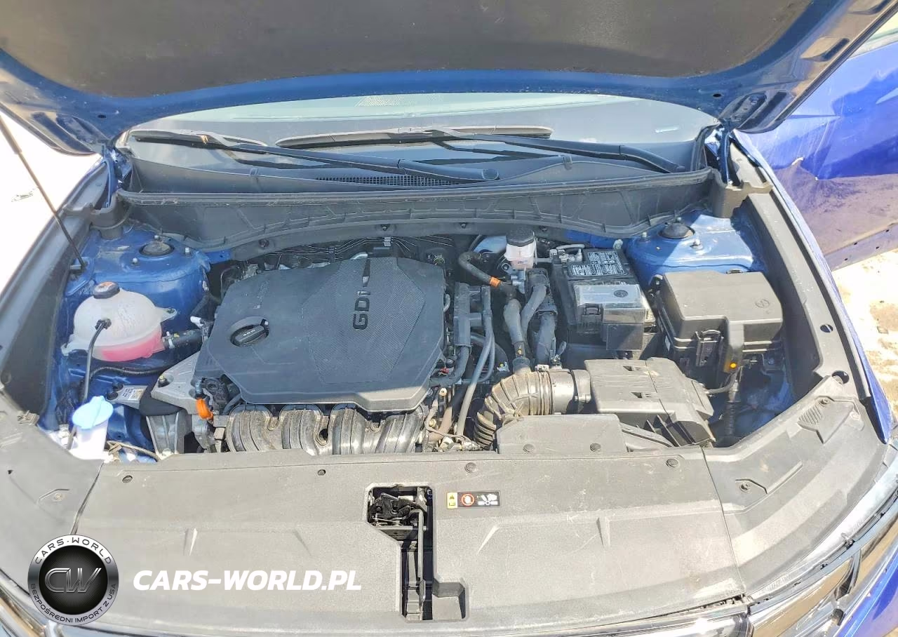 2024 Hyundai Tucson Limited VIN:5NMJECDE3RH352676 - 12
