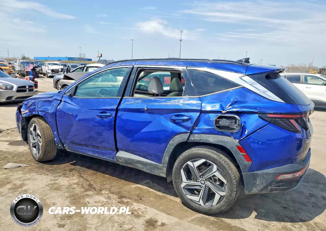 2024 Hyundai Tucson Limited VIN:5NMJECDE3RH352676 - 2