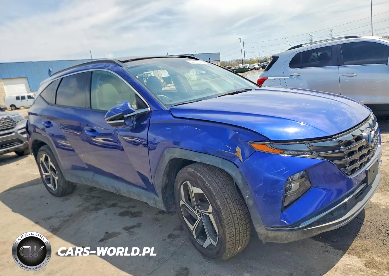 2024 Hyundai Tucson Limited VIN:5NMJECDE3RH352676 - 4
