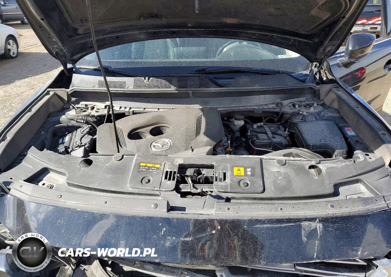 2020 Mazda Cx-9 Touring VIN:JM3TCBCY5L0400763 - 11