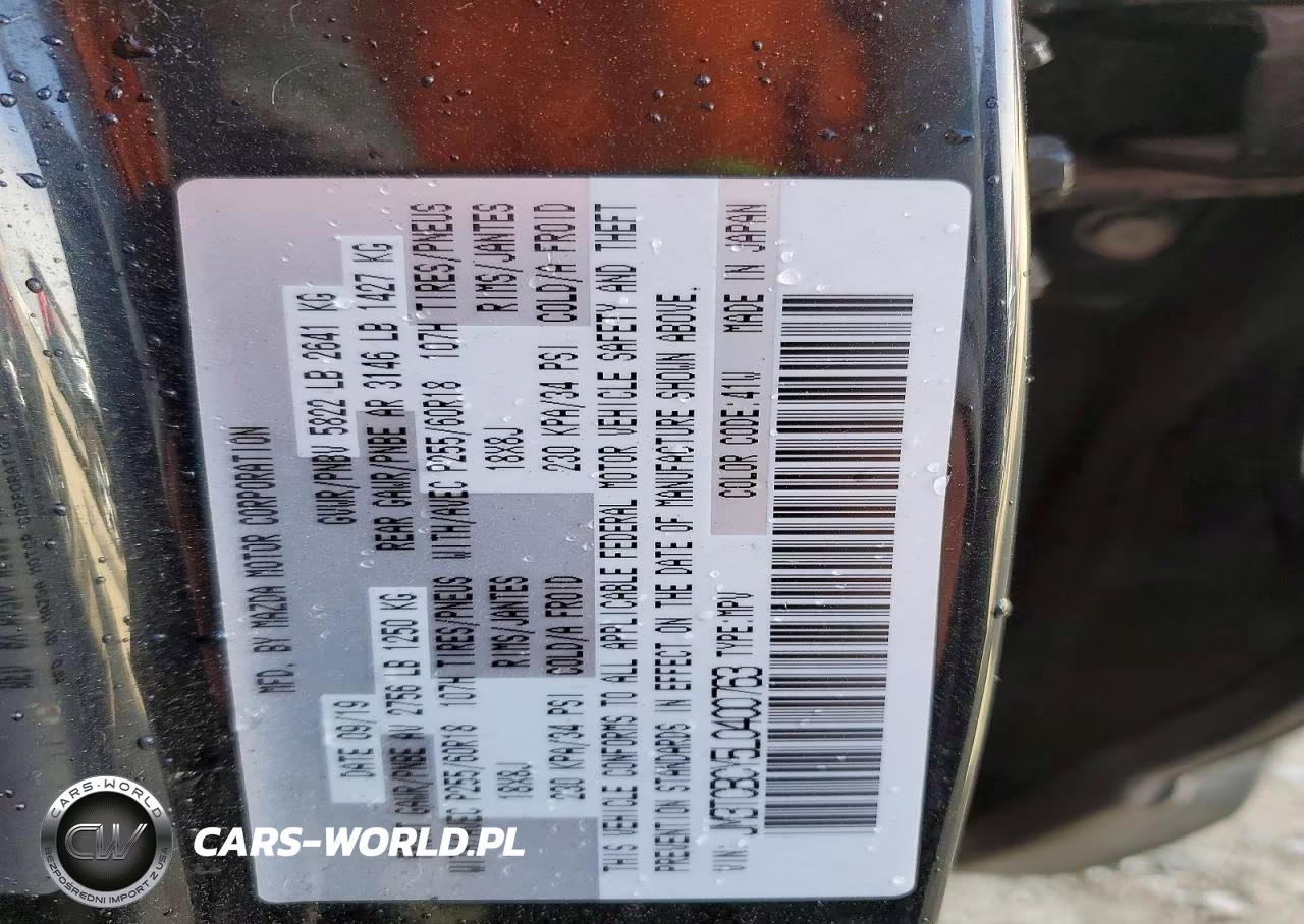 2020 Mazda Cx-9 Touring VIN:JM3TCBCY5L0400763 - 12