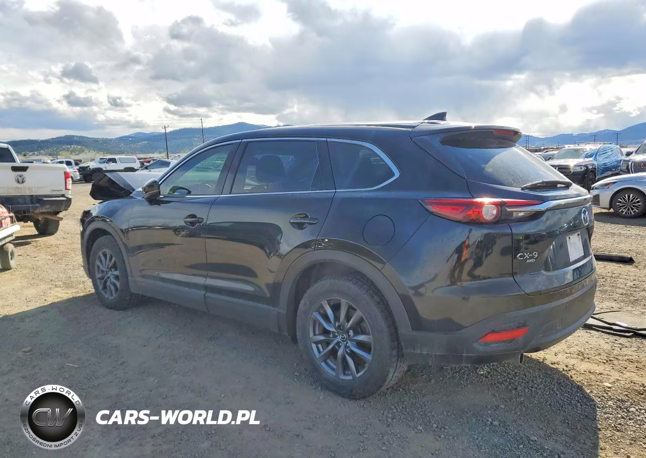 2020 Mazda Cx-9 Touring VIN:JM3TCBCY5L0400763 - 2