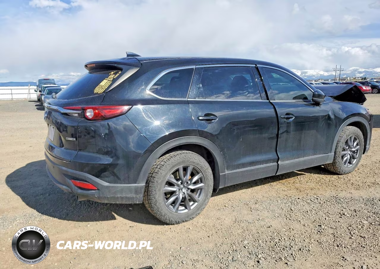 2020 Mazda Cx-9 Touring VIN:JM3TCBCY5L0400763 - 3