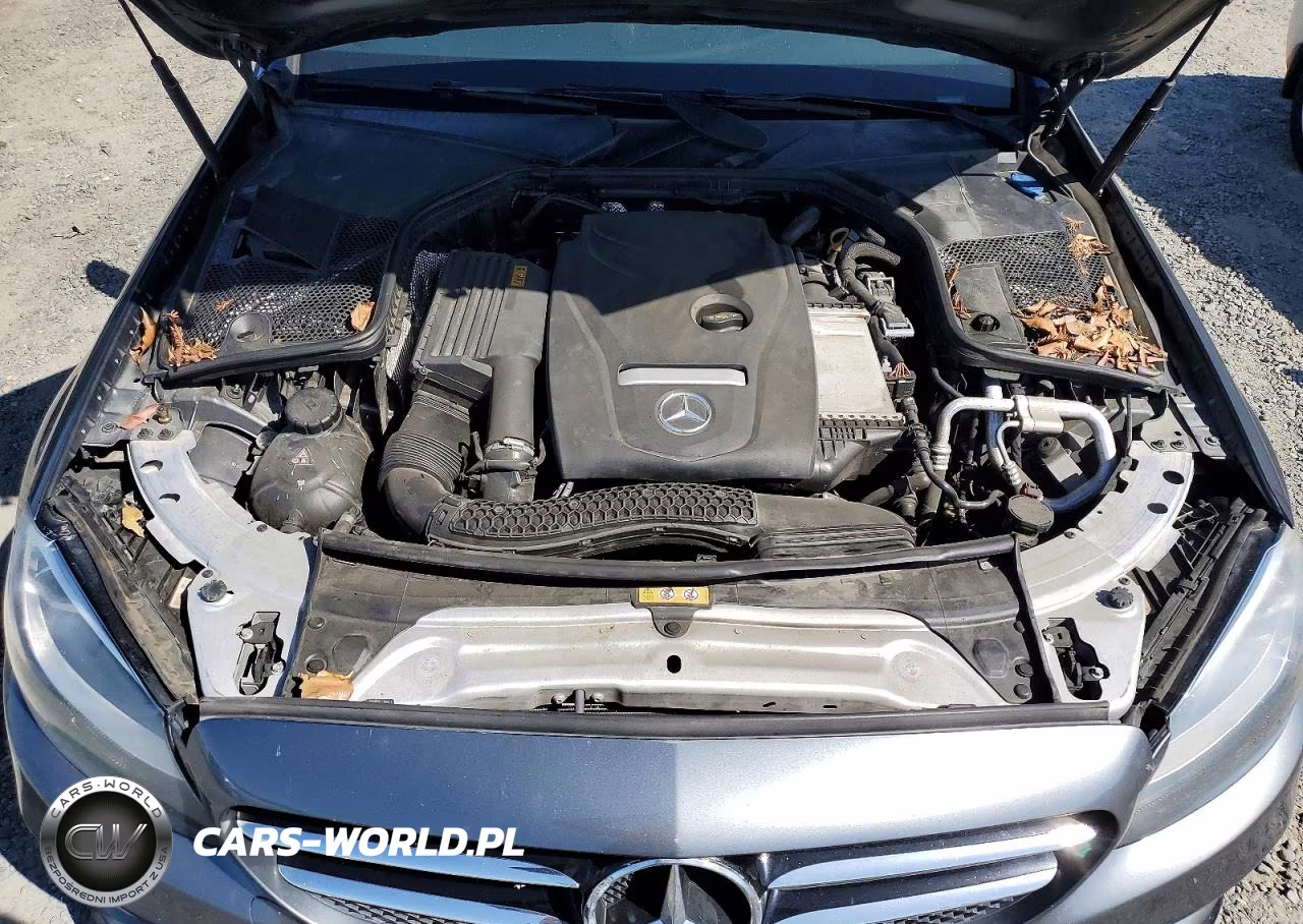 2018 Mercedes-Benz C 300 VIN:55SWF4JB9JU276307 - 11
