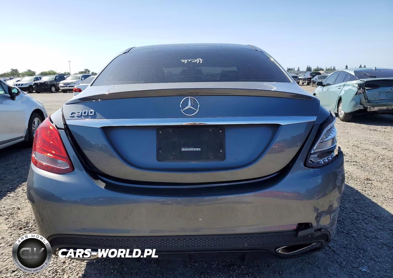 2018 Mercedes-Benz C 300 VIN:55SWF4JB9JU276307 - 6