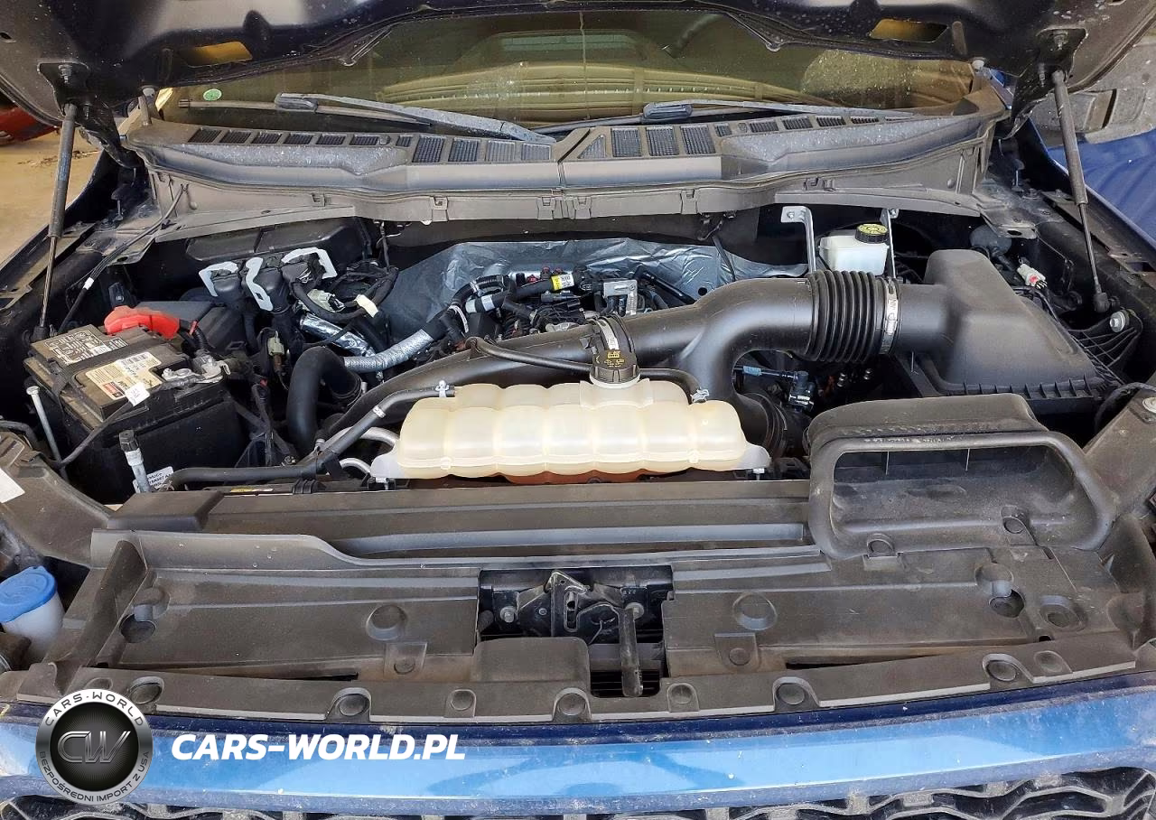 2022 Ford F150 Supercrew VIN:1FTEW1CP9NFA78008 - 11